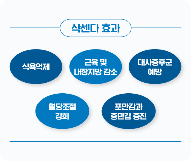 삭센다 효과